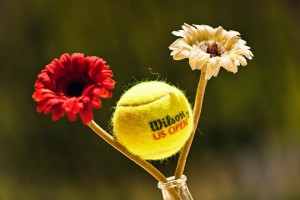 Una pallina da Tennis - Scatto fotografico effettuato durante il Torneo Internazionale di Tennis